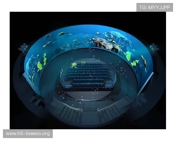 迈博真人开启沉浸式娱乐新体验引领行业潮流